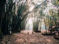 stunning natural beauty and rich cultural heritage