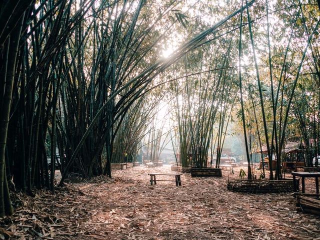 stunning natural beauty and rich cultural heritage