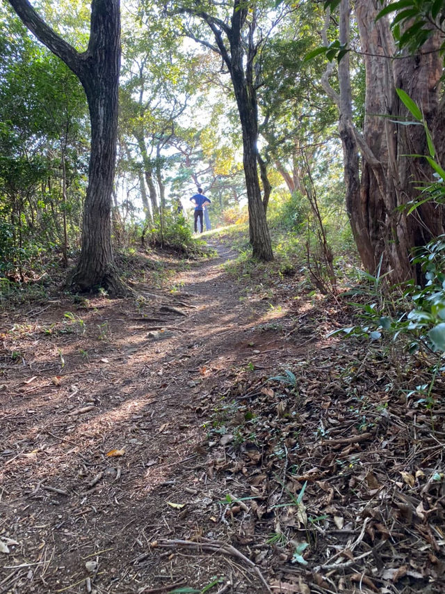 【三重県🇯🇵菰野富士をハイキング！】