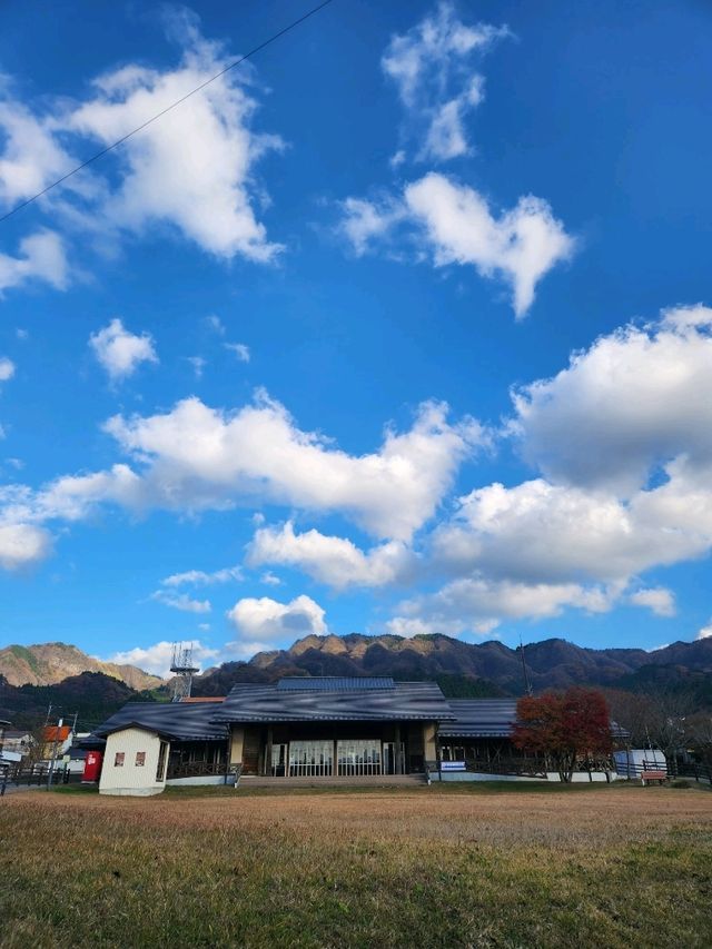 가을의 큐슈 여행기 🍁✨ – 후쿠오카부터 이토시마까지