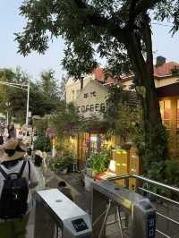 🇨🇳 Qingdao - More Than Just Beer 🍻 