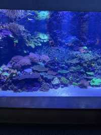 大分　🩵水族館🦭🐬