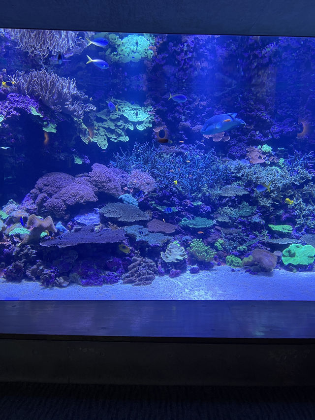 大分　🩵水族館🦭🐬
