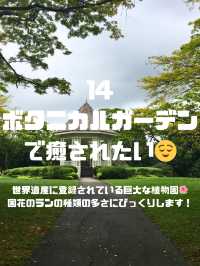 シンガポールでしたいこと🇸🇬