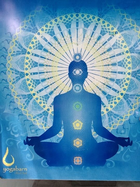 The Yoga Barn: more than just a regular yoga studio