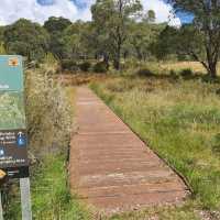Barrington Tops National Park