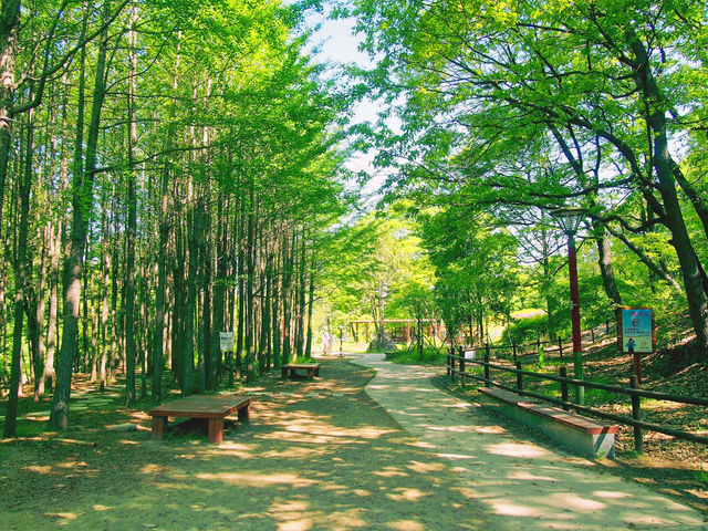 💛건강하게 걷기 데이트, 북한산 둘레길 9구간 마실길💛
