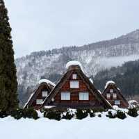 綺麗すぎる雪景色『白川郷』