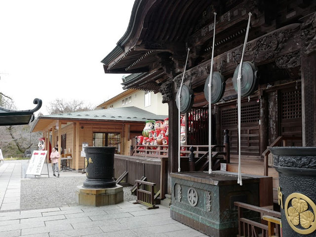 縁起だるまの少林山🤍【少林山 達磨寺】