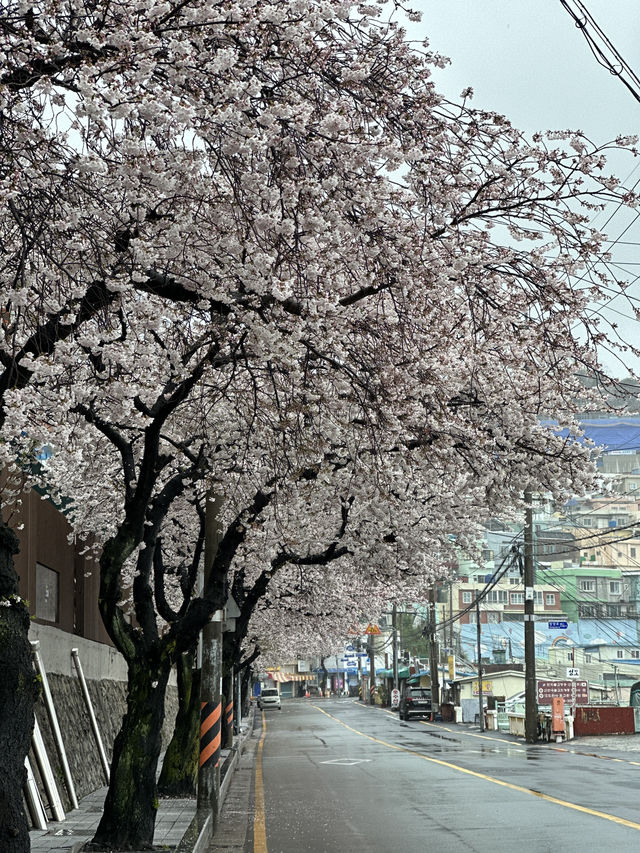 韓國🇰🇷 釜山 東大新站希望階梯單軌列車