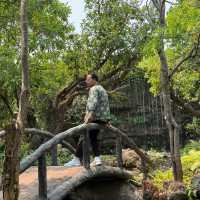 อุทยานหลวงราชพฤกษ์