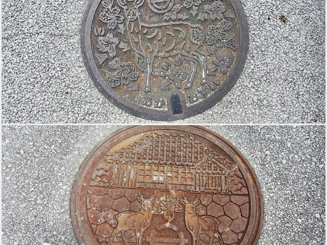 騎腳踏車環遊沖繩的阿嘉島、慶留間島及外地島 