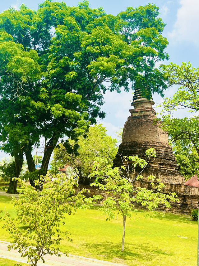 🇹🇭✅ワット・ヤイチャイモンコン攻略ガイド – アユタヤの歴史と荘厳な寺院を体感！