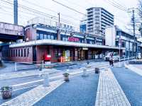 【鶴舞公園】四季を楽しむ！ 桜もバラも絶景の名所
