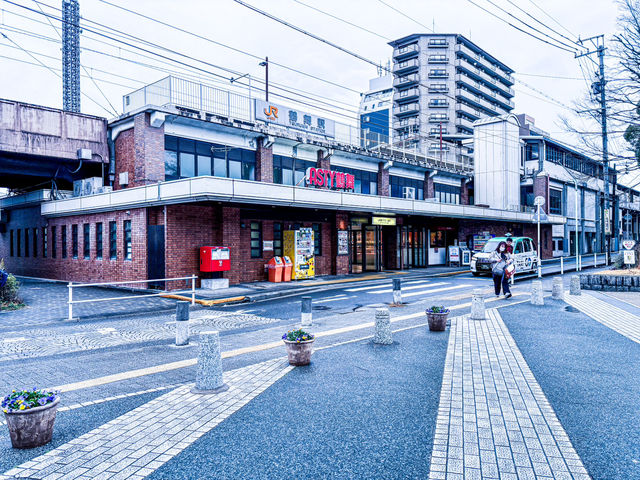 【鶴舞公園】四季を楽しむ！ 桜もバラも絶景の名所