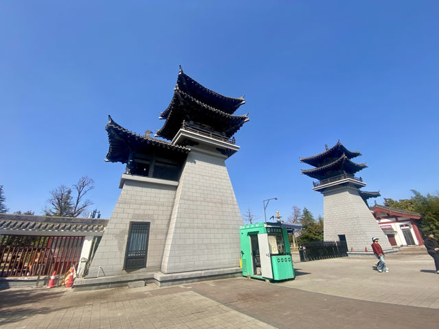 💕洛陽世外桃源✨隋唐城遺址植物園🌳