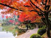 濃縮廣島四季美景，楓紅如畫的縮景園