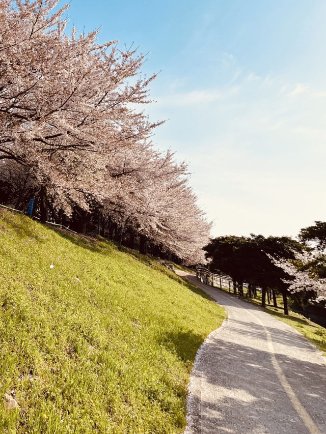Spring Strolls Through Artistic Alleys 🚶‍♂️🌷