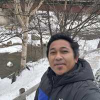 7 Days in Sapporo