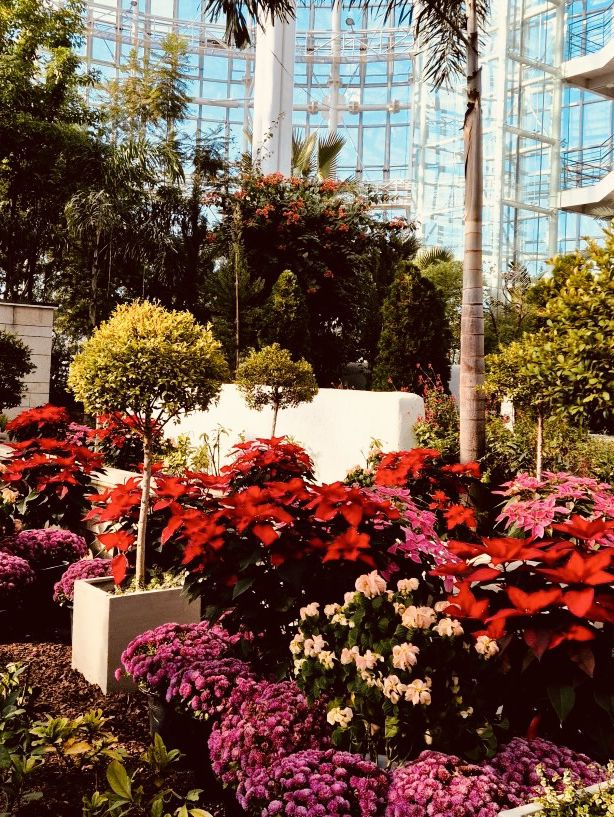 A Springtime Botanical Wonderland 🌸🌿