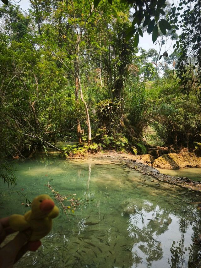 beautiful waterfalls in Laos