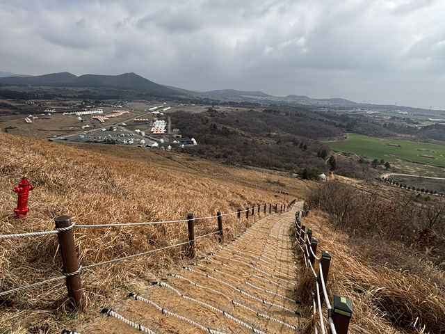 제주도에 오셨다면 새별오름과 카페새별은 필수죠!