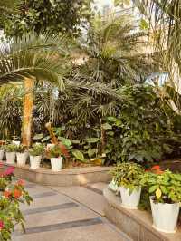Spring's Silent Sanctuary? Geumgang Arboretum Delivers