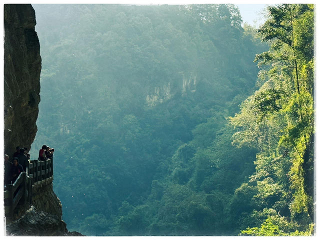 Chongqing Unveiled: From Ancient Rock Carvings to Nature’s Grand Masterpieces