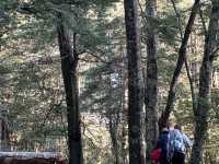Frozen Adventure: Surviving Earnslaw Burn in beginning of Winter