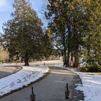 スタンレー・パーク（カナダ・バンクーバー） – 自然と都市が融合した絶景公園