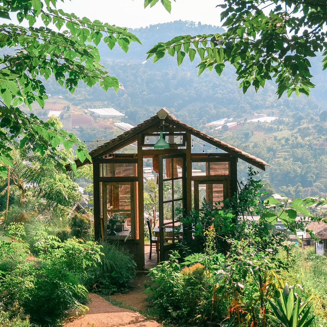 Mori Natural Farm โมริ เนเชอรัลฟาร์ม เชียงใหม่ 🏮🛖