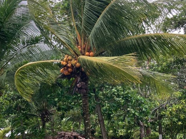 Costa Rica – A Green Paradise for Conscious Travelers