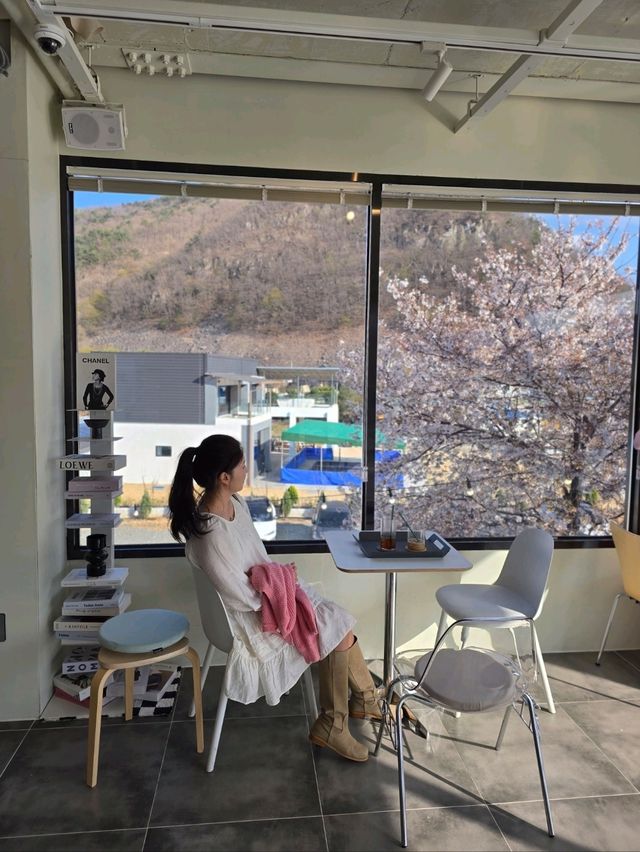 그림같은 벚꽃테라스를 즐기는 밀양카페🌸