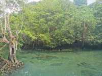 เที่ยวเมืองกระบี่