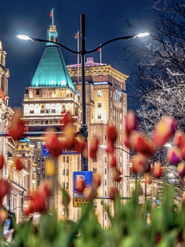 This isnt in holland but in Shanghai -Tulips Bloom 🌷 