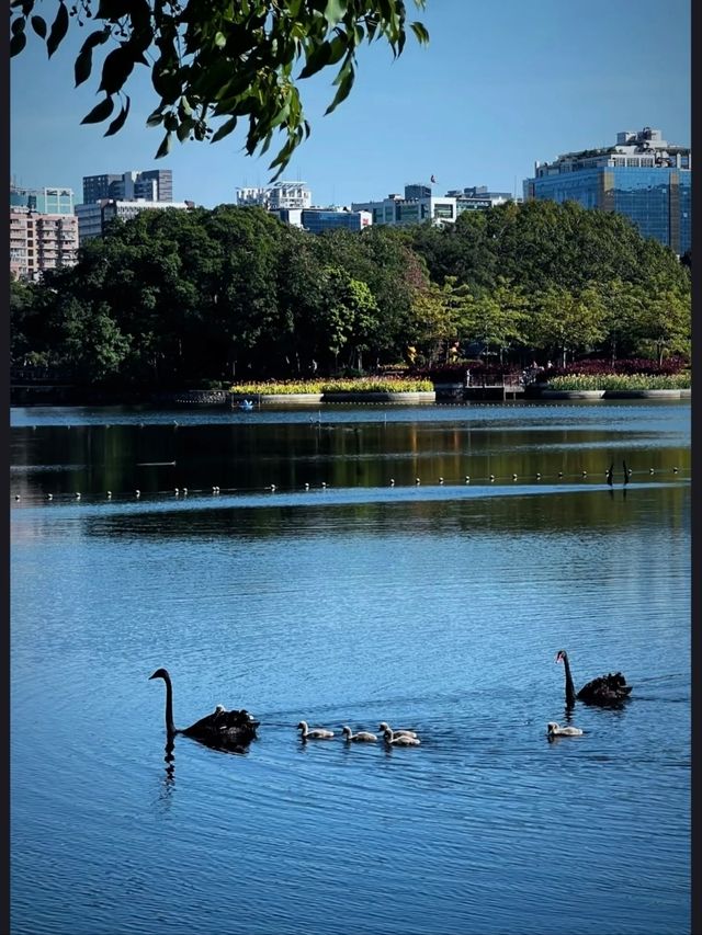 Liuhua Lake Park – Guangzhou’s Urban Oasis
