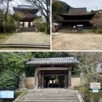 【山口県下関市長府🇯🇵功山寺】見どころたくさん☺️長府巡り
