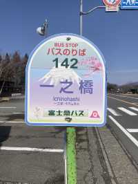 Early Spring of Mt. Fuji 