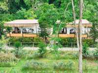 The Forest Camp เขาใหญ่
