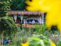 The Forest Camp เขาใหญ่
