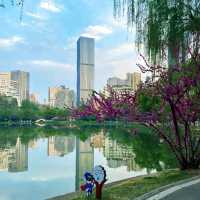 曉港公園~城市中的綠化地帶