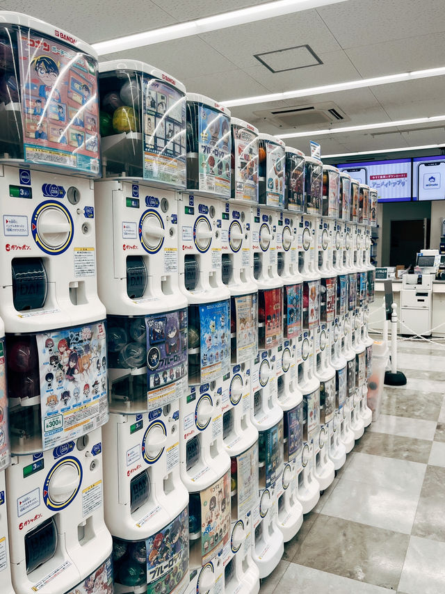 🇯🇵日本東京探店✨アニメイトanimate 池袋本店📚
