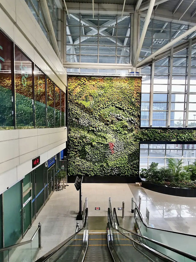 ✈️ 冷門寶藏機場！清州機場原來這麼方便