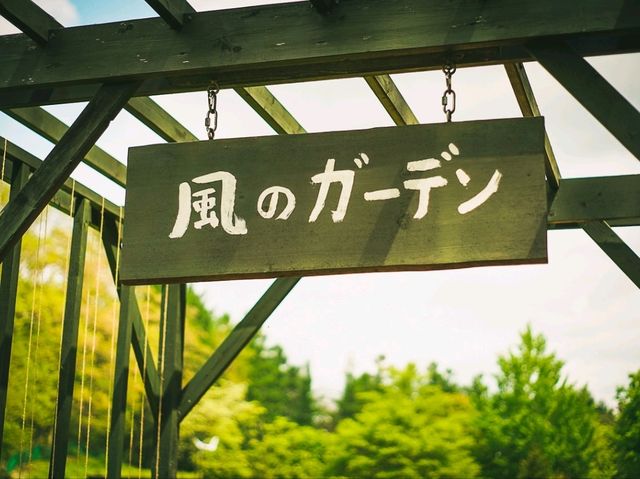 Furano in Full Bloom: Discover the Magic of Kaze no Garden