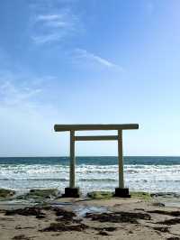 【千葉】波に打ち付けられる白い鳥居 映えスポット