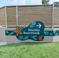 Nature’s New Path: Exploring Mandai Boardwalk 🇸🇬