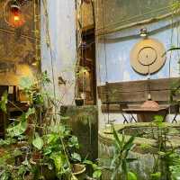 Eclectic Harmony at The Baboon House