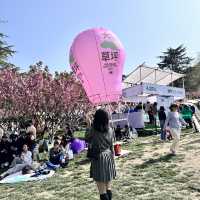 （青岛植物园）칭다오에도 봄이 왔어요🌸🌹🌷