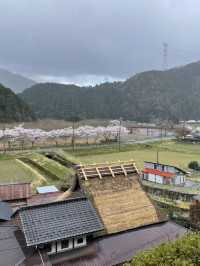 หมู่บ้านคายาบุกิโนะซาโตะ (Miyama Kayabuki no Sato)