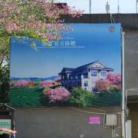 Zhangping Yongfu Cherry Blossom Garden – Fujian